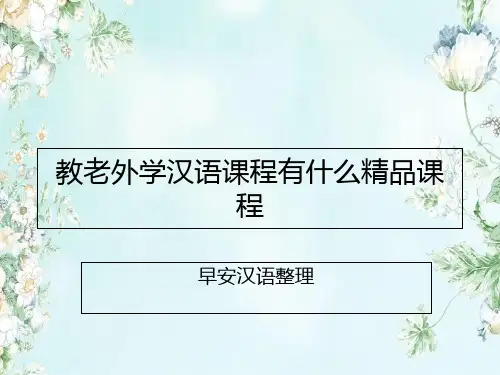 教老外学汉语课程有什么精品课程详细版