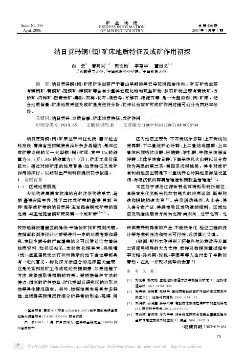 纳日贡玛铜_钼_矿床地质特征及成矿作用初探
