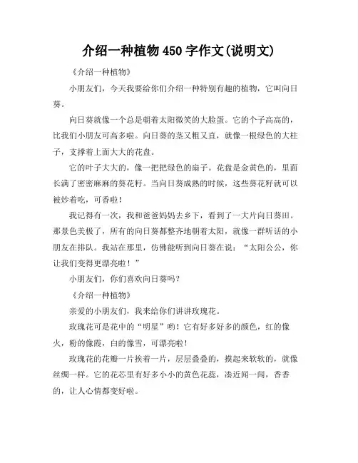 介绍一种植物450字作文(说明文)