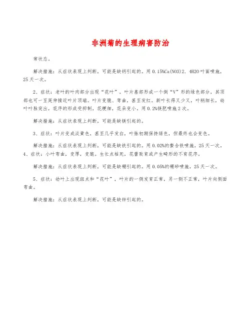 非洲菊的生理病害防治