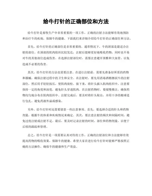给牛打针的正确部位和方法