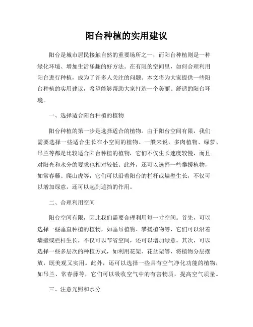 阳台种植的实用建议