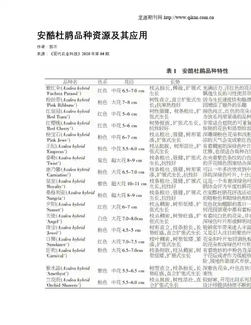 安酷杜鹃品种资源及其应用