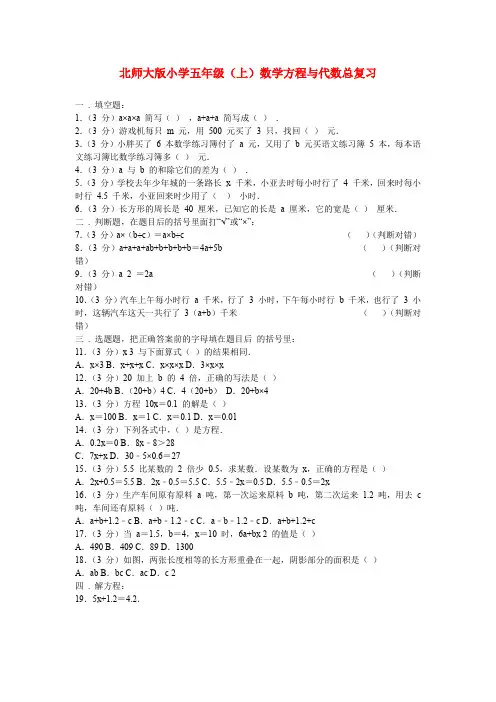 北师大版五年级数学上册方程与代数总复习附答案