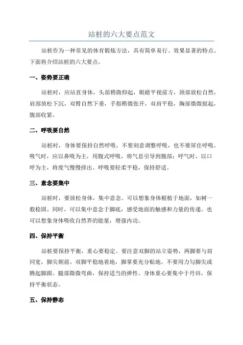 站桩的六大要点范文