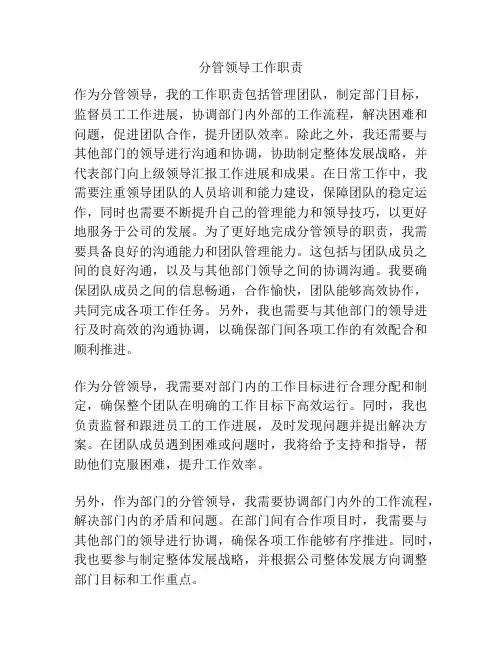 分管领导工作职责