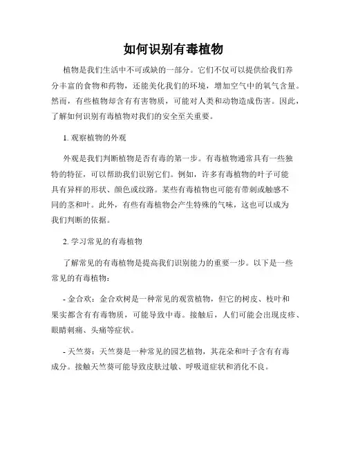如何识别有毒植物