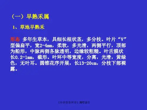 冷季型草坪草课件