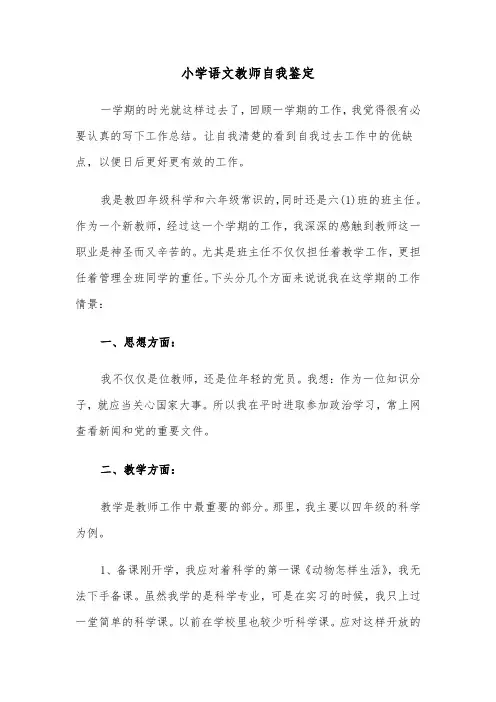 小学语文教师自我鉴定（4篇）