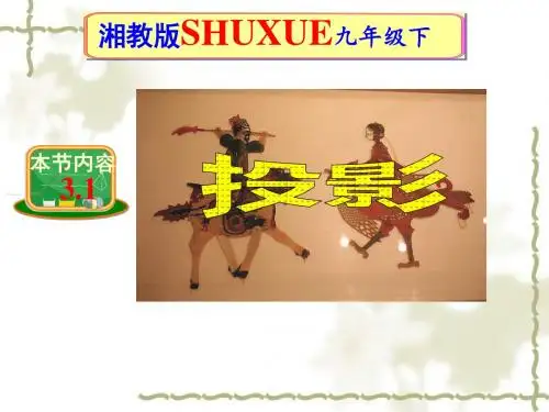 最新湘教版九年级数学下《3.1投影》课件(共13张PPT)