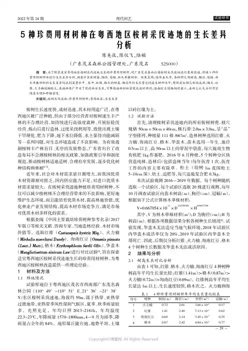 5种珍贵用材树种在粤西地区桉树采伐