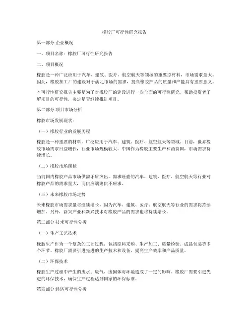 橡胶厂可行性研究报告