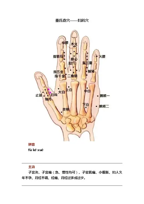 董氏奇穴——妇科穴