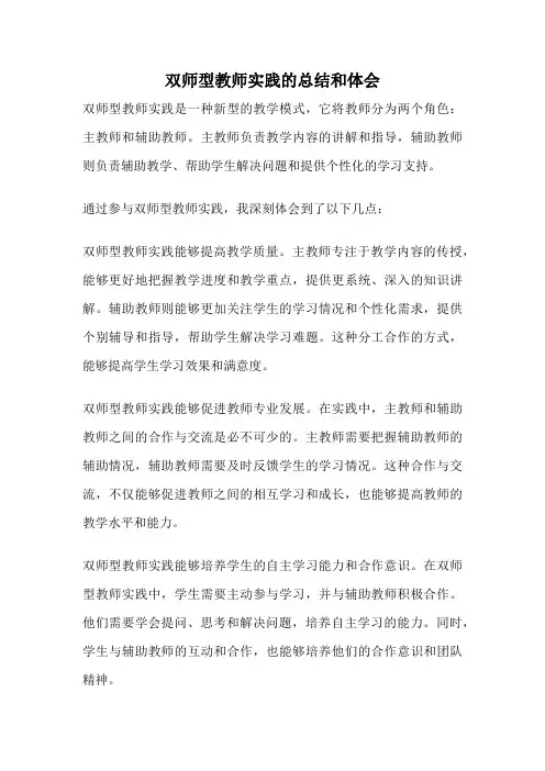 双师型教师实践的总结和体会