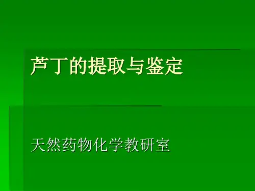 芦丁的提取与鉴定