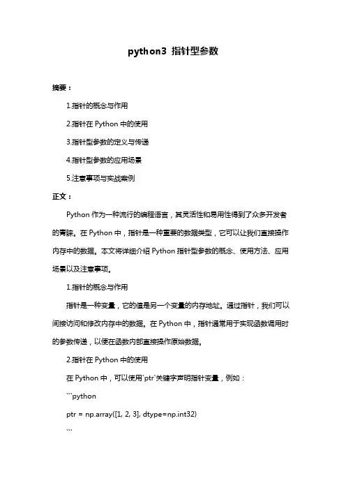 python3 指针型参数