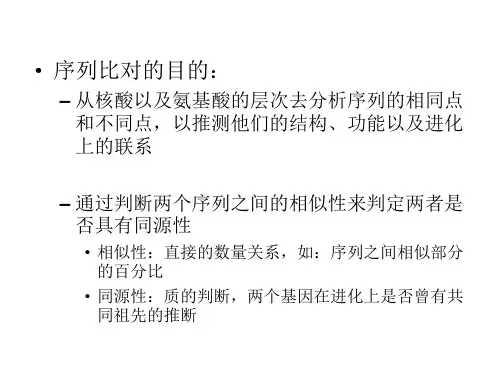 序列的比对分析