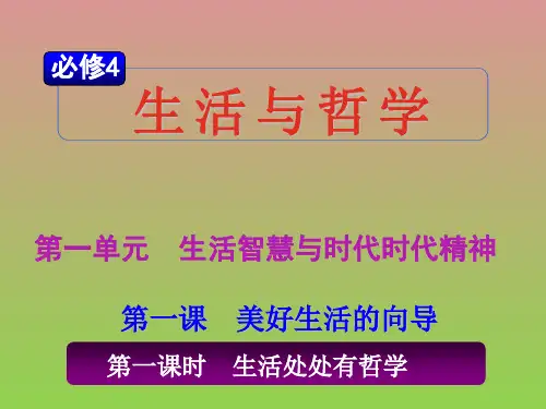 政治1.1.1《生活处处有哲学》课件(人教版必修4)