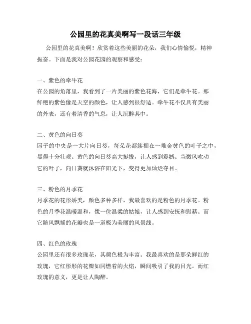 公园里的花真美啊写一段话三年级