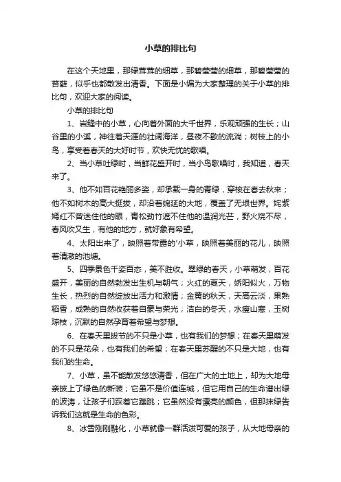 小草的排比句