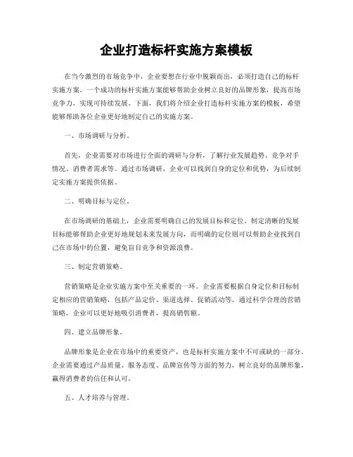 企业打造标杆实施方案模板