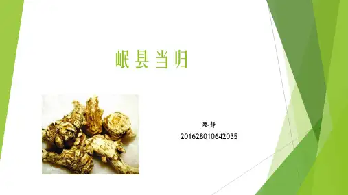 岷县当归
