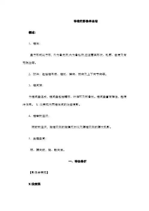 脊柱影象总结