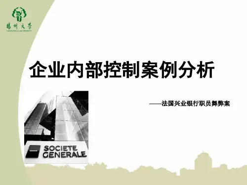 审计学_内部控制失败案例_法新银行