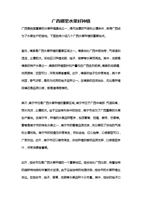 广西哪里水果好种植