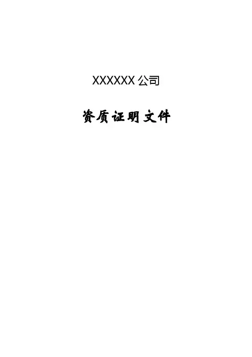 资质证明文件