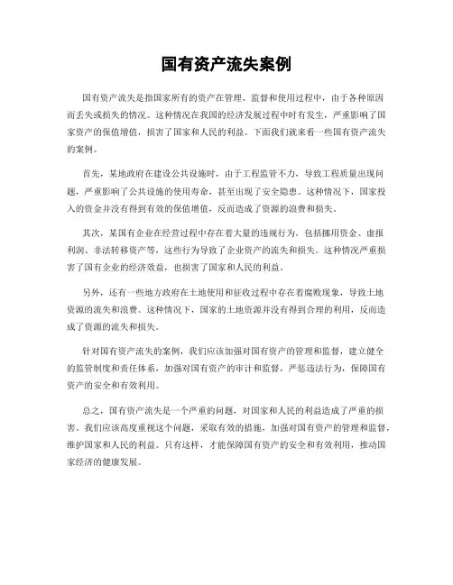 国有资产流失案例