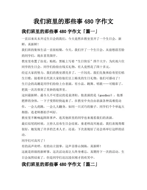 我们班里的那些事480字作文