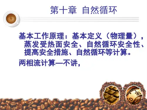 锅炉原理  自然循环