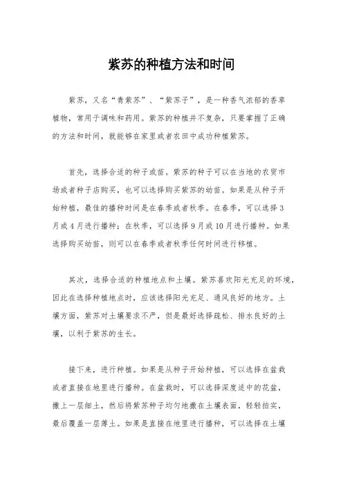 紫苏的种植方法和时间