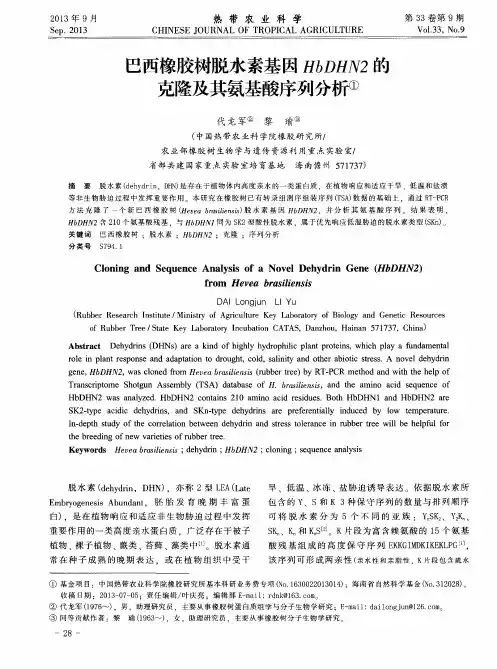 巴西橡胶树脱水素基因HbDHN2的克隆及其氨基酸序列分析