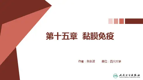 医学免疫学(应用型创新规划教材)PPT课件 黏膜免疫