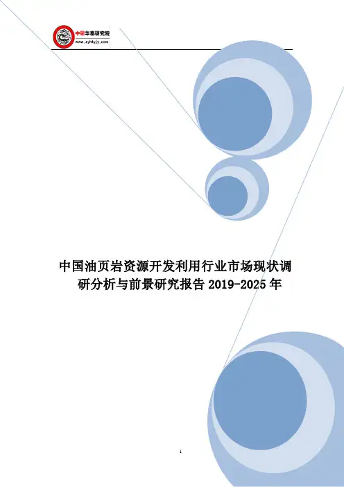 中国油页岩资源开发利用行业市场现状调研分析与前景研究报告2019-2025年