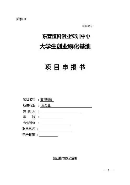 腾飞科技创业商业计划书