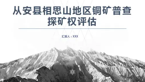 矿产资源评估-铜矿探矿权评估案例-地质要素平序法