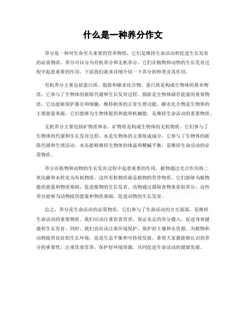 什么是一种养分作文