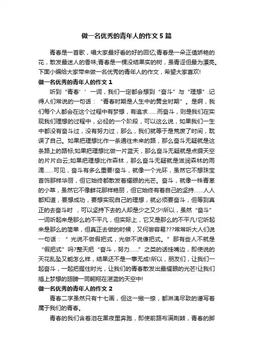 做一名优秀的青年人的作文5篇