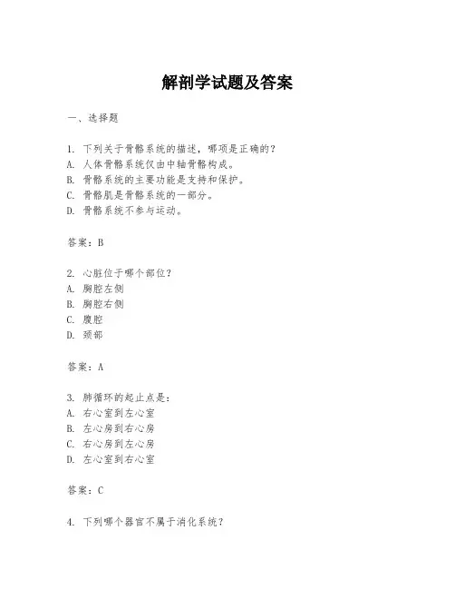 解剖学试题及答案