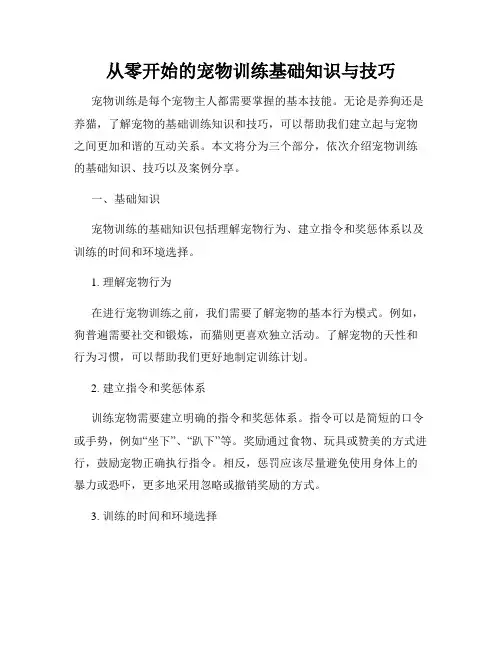 从零开始的宠物训练基础知识与技巧
