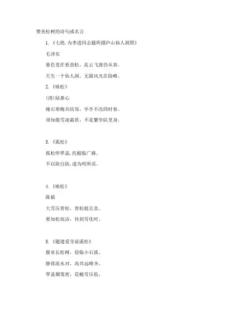 赞美松树的诗句或名言