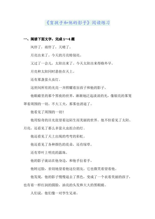 《盲孩子和他的影子》阅读练习