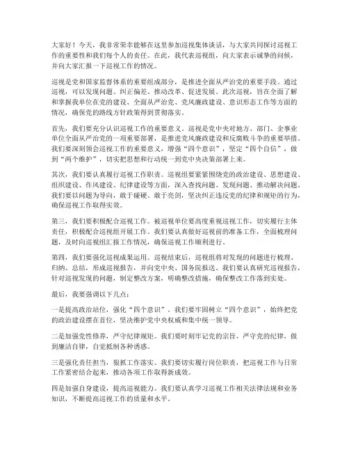 巡视集体谈话发言稿范文