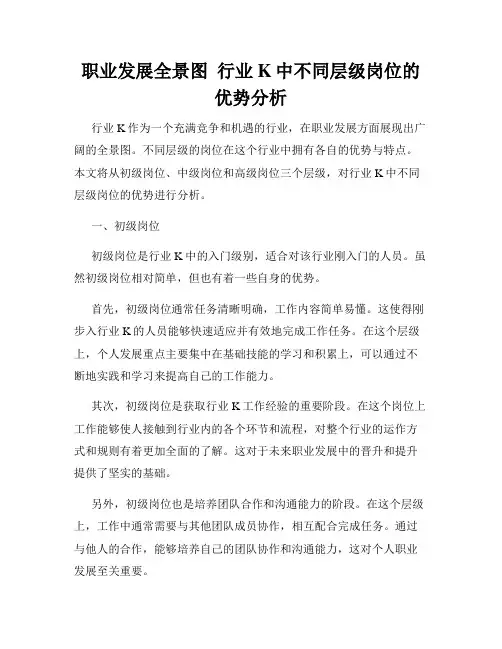 职业发展全景图  行业K中不同层级岗位的优势分析