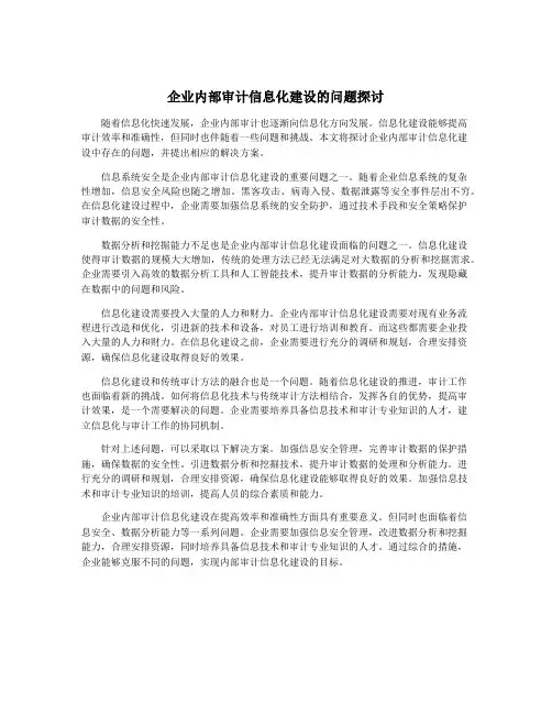 企业内部审计信息化建设的问题探讨