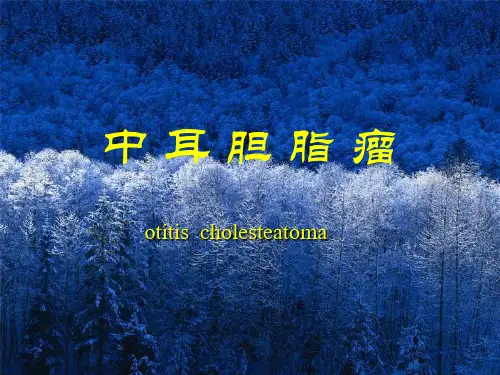 中耳胆脂瘤