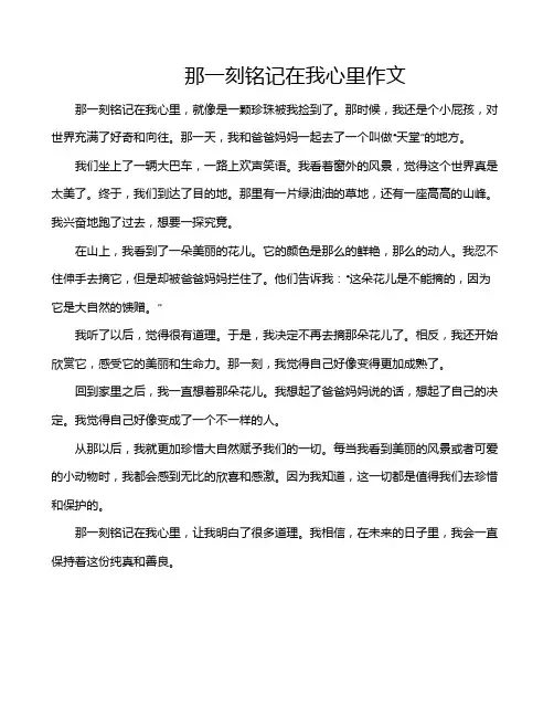 那一刻铭记在我心里作文